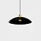 decorative light,pendant light and ceiling lights